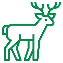 Green Deer